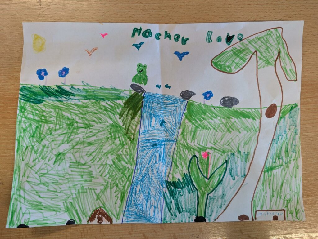 A picture drawn by an infant school pupil featuring a big tree, a large rectangular pond, foliage, grass, flowers, bug hotels and a frog.