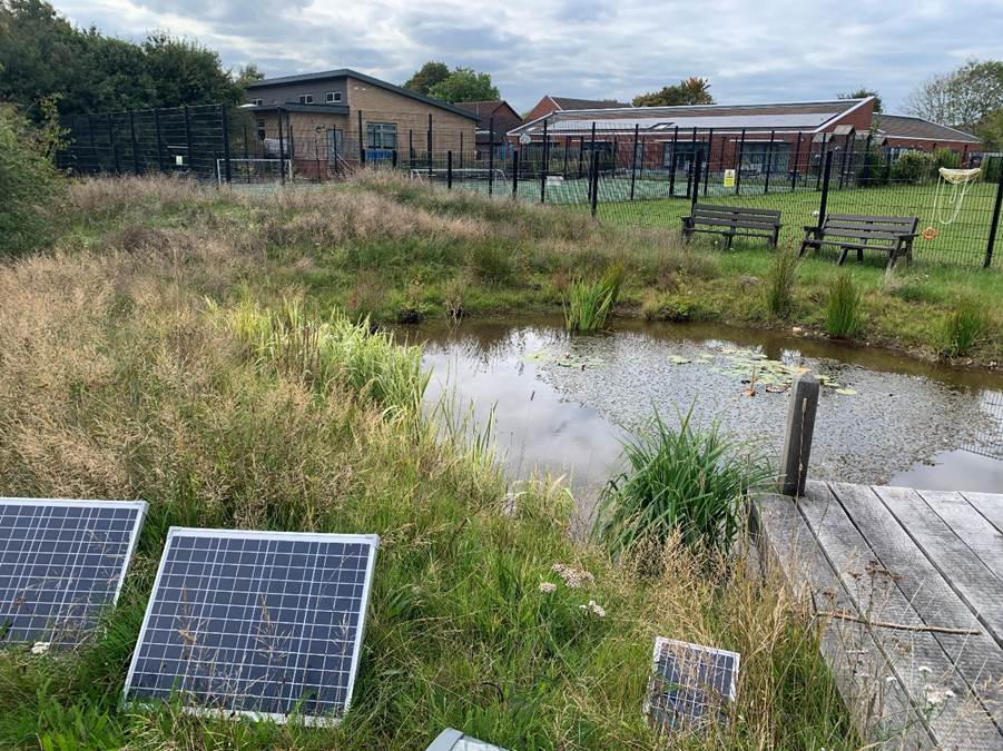 Mini solar panels powering a pond pump in the school’s wetland area. The pond has a layer of lily pads on its surface. The main school building in the background featuring rooftop solar panels.