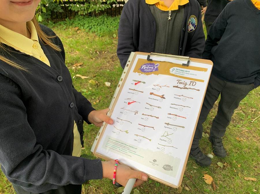 Children outdoors examining trees and using a “Twig ID” sheet on a clipboard for identification.