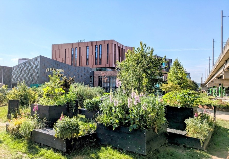 Nottingham Trent University - modern buildings with flowers and plant biodiversity in foreground