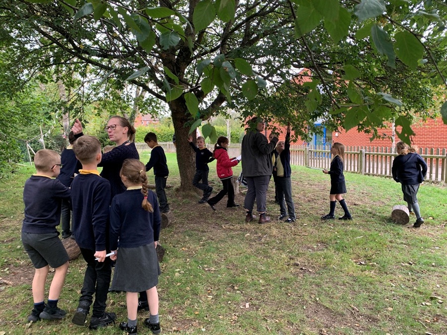 Children identifying trees and leaves in Sofia’s Garden, supported by sustainability co-lead Danielle Ware and RHS representative Jenna Gilmour.