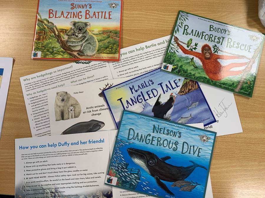 A selection of children’s books and educational sheets on a table, including titles like “Sunny’s Blazing Battle” and “Buddy’s Rainforest Rescue.”